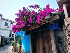 -三亚西岛海洋文化旅游区