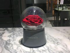 -ROSEONLY诺誓(青岛万象城店)