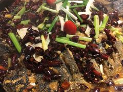 老板恋上鱼-老板恋上鱼(恒隆广场店)