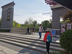 -莲花池公园