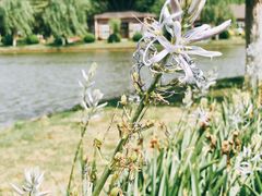 -上海鲜花港