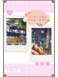 -哈尼兔儿童游戏乐园(沈阳大东龙之梦店)