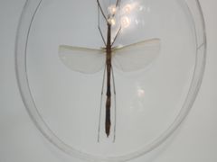 -上海昆虫博物馆