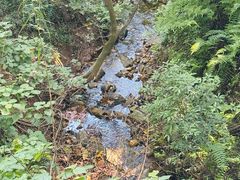 -羚羊峡古栈道森林公园