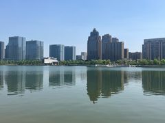 -金沙湖公园
