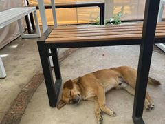 -何适山庄 ·可团建(水长城P2停车场店)