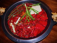 -黄潇洒老火锅(九眼桥宏济巷店)