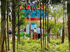 -南宫五洲植物乐园