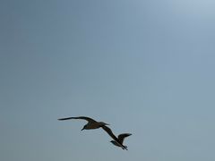 -海云台海滩