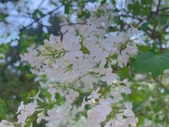 -北京市劳动人民文化宫