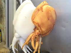 -大澳渔村及棚屋
