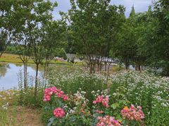 -金谷域澳洲庄园