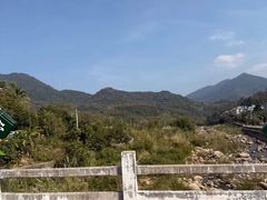 -海南霸王岭国家森林公园