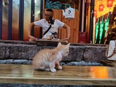 -奢月酒店(成都华西二院锦江院区三圣花乡地铁站店)