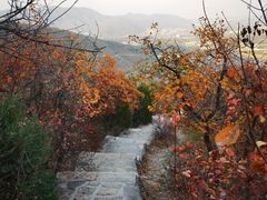 -北京西山国家森林公园