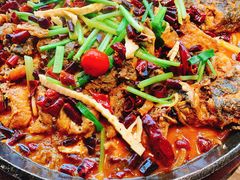 -老板恋上鱼(恒隆广场店)