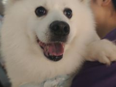 -飨府.老淮面馆.自营(清河路店)