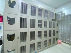 -爱宠屋(电脑一条街店)