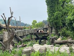 -宁波野生动物园