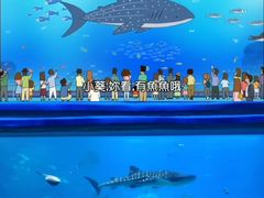 -珠海长隆海洋王国
