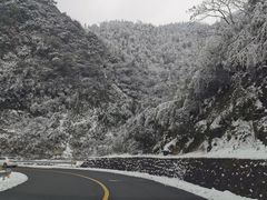 -武陵山森林公园