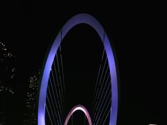 -南京眼步行桥