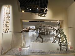 -国家自然博物馆