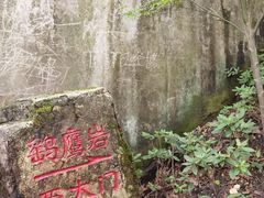 -大金鹰园