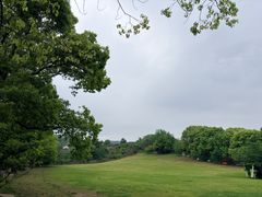 -雨花胜境