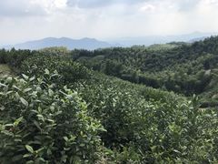 -径山寺