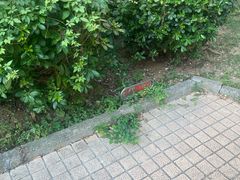 -金银湖国家城市湿地公园
