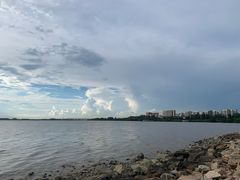 -宝安西湾红树林湿地公园