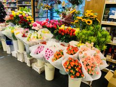-绿叶子(春秀路店)