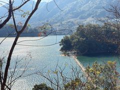 -广州市流溪河国家森林公园
