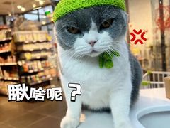 -萌兽医馆·眼科·异宠专科(三里屯店)