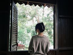 -东莞植物园