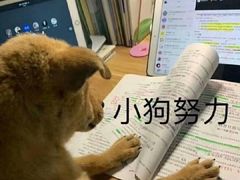 -胖哥俩肉蟹煲(世茂国际广场店)