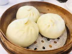 眉州老面手工包子-眉州东坡(中日友好医院店)