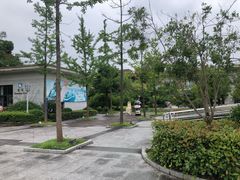 -千岛湖城中湖游船码头
