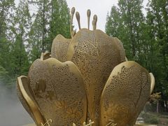 -东平国家森林公园