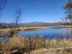 -野鸭湖国家湿地公园