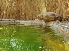 -森波拉火山温泉