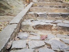 -上海佘山国家森林公园天马山园