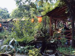 -青城甲(青城山店)