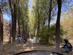 -亲兄弟真人CS团建拓展基地