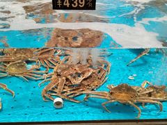 -艳阳天·非遗楚菜(武汉客厅店)
