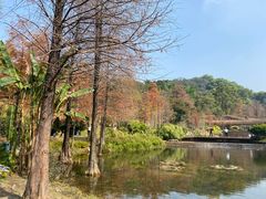 -云溪植物园