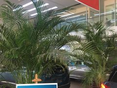 -上海先进东风标致雪铁龙4S店(青浦店)