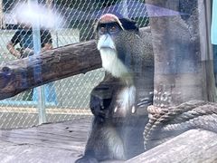 -深圳野生动物园