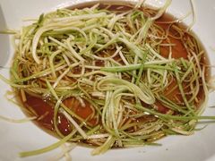 生呛西葫芦丝-红城阁·上海味道(四平路店)
